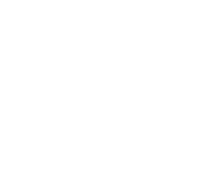 ROI HOME